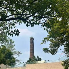 篽箖·上野書屋張用戶圖片