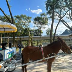 黄花镇银峰农庄 User Photo