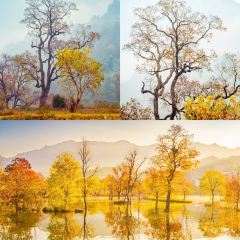 Sage Hall Homestay User Photo