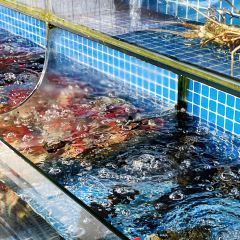 Haojing Seafood Restaurant (wanghongcantingshuangyuewan) User Photo