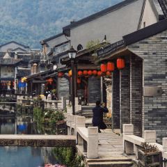 初见东北菜 User Photo