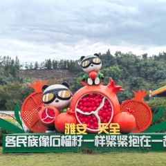 猫屎咖啡(天全服务区店) User Photo