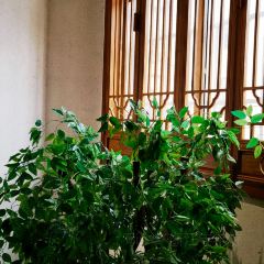 快活林酒楼 User Photo