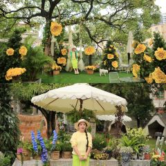 24H color咖啡廳張用戶圖片