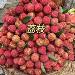 兴新酸嘢·水果果汁鸡爪(金湾步行街店) User Photo