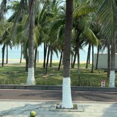 T'ANG COURT User Photo