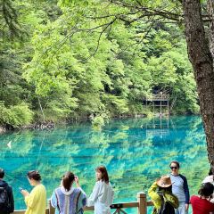 Bianbianjiecangyage Restaurant User Photo