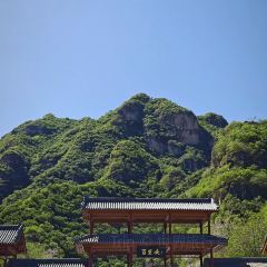 灶台鱼(自强街总店) User Photo