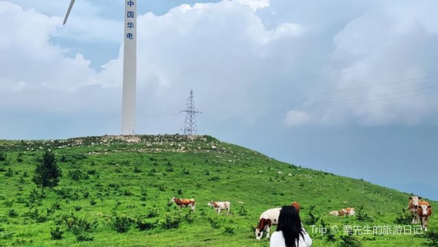dian ding shan feng jing qu