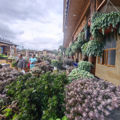 912·张宜庄园(3号店) User Photo