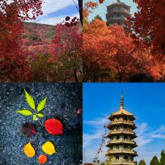 千西侯记煎饼(千佛山西路店) User Photo