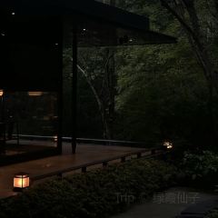 PURPLE MOUNTAIN GARDEN 여행 사진
