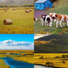 Manda Sheng Yuan Xiang chafing  dish User Photo