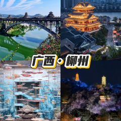 FEI LUO ZHUANG User Photo