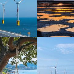 LIN JIA XIAO ZAO User Photo