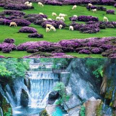 MIAN NING HUO PEN SHAO KAO User Photo