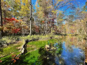 Changbai Mountain Jiuxi Tingquan Scenic Area