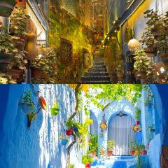 海爾巴格大飯店（喀什店）張用戶圖片