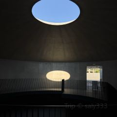 河源春沐源小镇·棕榈树酒店·Papa Razzi西餐厅 User Photo