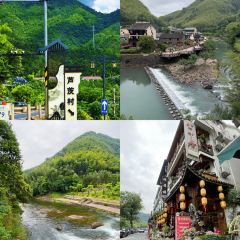 PAN PO FAN DIAN User Photo