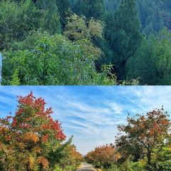 四四席博山老菜馆 User Photo