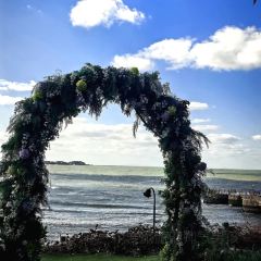 咱妈家·海菜包子(长峰店) User Photo