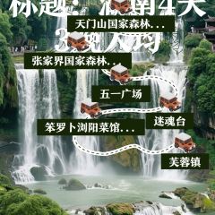 BEN LUO BO CAN YIN User Photo