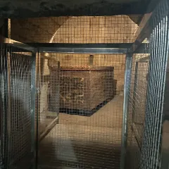 ZHENG XI WANG User Photo