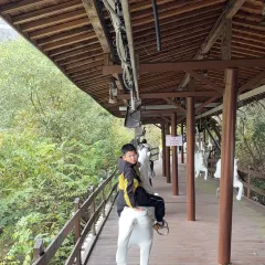 姚记面馆(瑶琳路店) 여행 사진