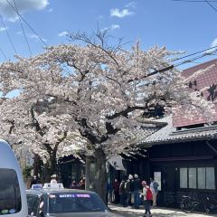 Menchuubo Ajisai Main Branch User Photo