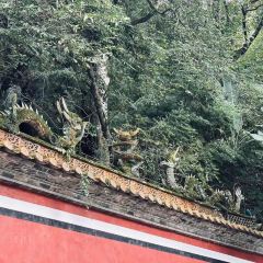 青木 User Photo