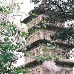 喜晋道面馆(凯德世家店) User Photo