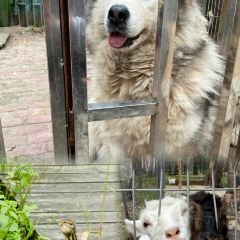 後浪咖啡 （延大店）張用戶圖片