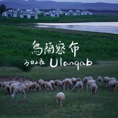 安之与羊 User Photo