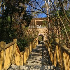 Donghuadouhua User Photo