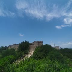 亭口赵记正宗炒面(华隆鑫城店) User Photo