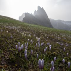 Curona Hut Seceda User Photo