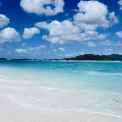 百味土菜館張用戶圖片