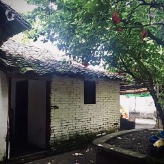 LU ROU DOU HUA User Photo