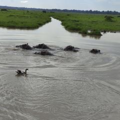 레이크 나이바샤 컨트리 클럽 여행 사진