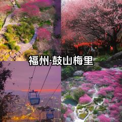 揽月本港海鲜 User Photo