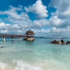 昌隆·家家鹅乡·海南菜 User Photo