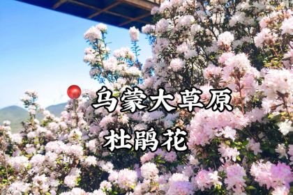 Zhou yu de yu · wan feng lin guan pu restaurant