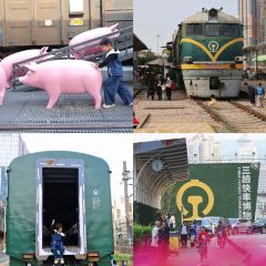 Fortune Court User Photo