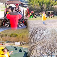 快樂家園•大魚王（南山竹海店）張用戶圖片