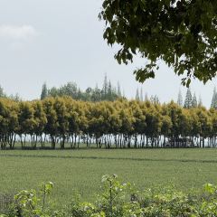 渔家小院(新津店) User Photo