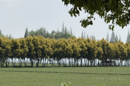 渔家小院(新津店)