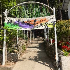 XIANG BA LI NONG GU LE User Photo