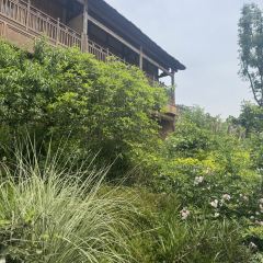 Ahnluh Guantang · All-Day Restaurant User Photo