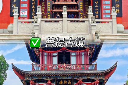 LAO CHENG SAN DAO GUAI DA DA MIAN